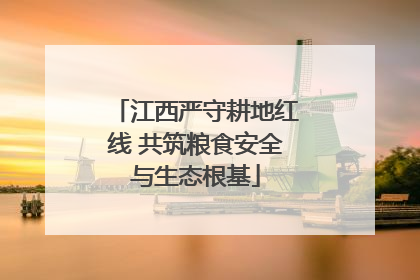 江西严守耕地红线 共筑粮食安全与生态根基