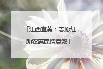 江西宜黄：志愿红助农惠民情意浓