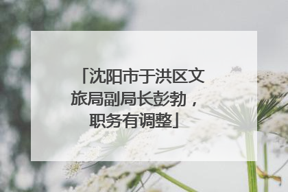 沈阳市于洪区文旅局副局长彭勃，职务有调整