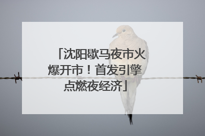沈阳歇马夜市火爆开市！首发引擎点燃夜经济