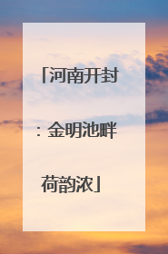 河南开封：金明池畔荷韵浓