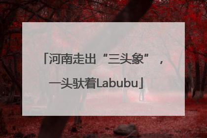 河南走出“三头象”，一头驮着Labubu