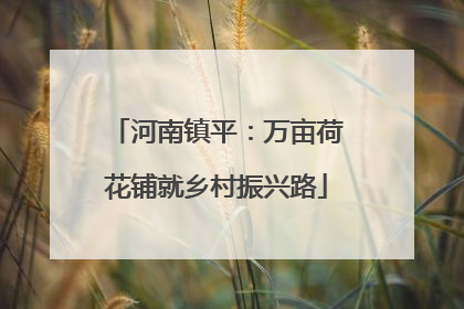 河南镇平：万亩荷花铺就乡村振兴路