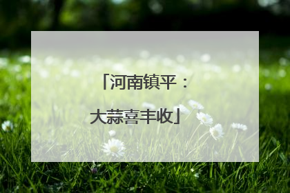 河南镇平：大蒜喜丰收