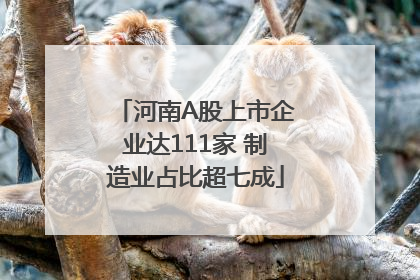河南A股上市企业达111家 制造业占比超七成