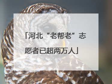 河北“老帮老”志愿者已超两万人