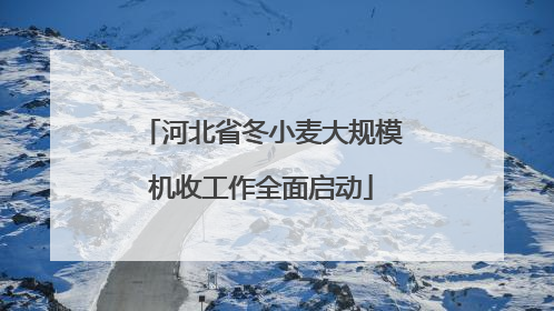 河北省冬小麦大规模机收工作全面启动