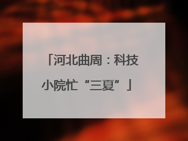 河北曲周：科技小院忙“三夏”