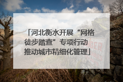 河北衡水开展“网格徒步踏查”专项行动 推动城市精细化管理