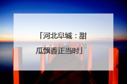 河北阜城：甜瓜飘香正当时
