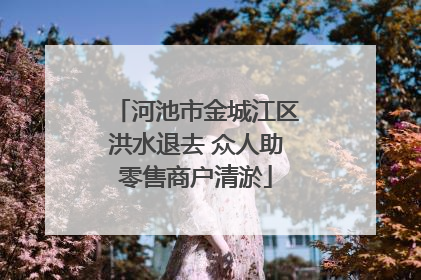 河池市金城江区洪水退去 众人助零售商户清淤