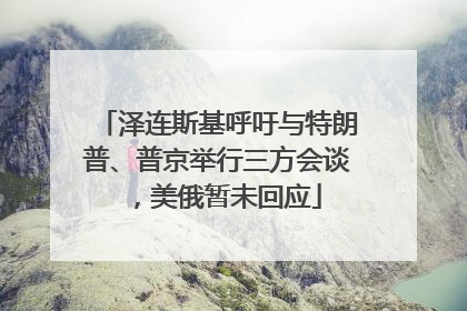 泽连斯基呼吁与特朗普、普京举行三方会谈，美俄暂未回应