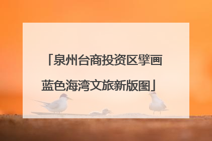 泉州台商投资区擘画蓝色海湾文旅新版图