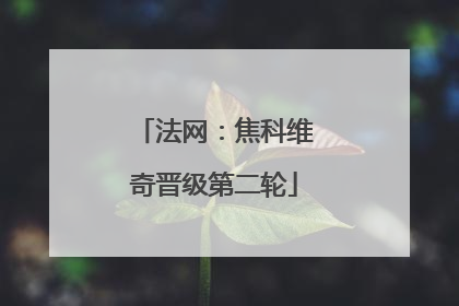 法网：焦科维奇晋级第二轮