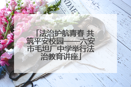 法治护航青春 共筑平安校园——六安市毛坦厂中学举行法治教育讲座