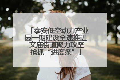 泰安低空动力产业园一期建设全速推进 文庙街道聚力攻坚抢抓“进度条”