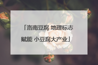 洛南豆腐 地理标志赋能 小豆腐大产业