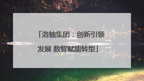 洛轴集团：创新引领发展 数智赋能转型