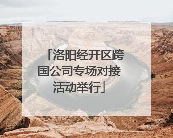 洛阳经开区跨国公司专场对接活动举行