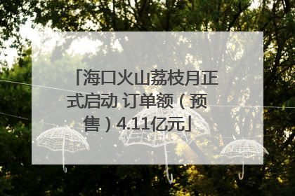 海口火山荔枝月正式启动 订单额（预售）4.11亿元