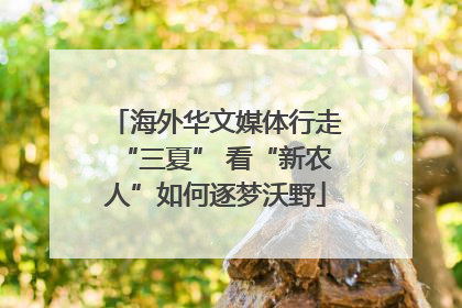 海外华文媒体行走“三夏” 看“新农人”如何逐梦沃野