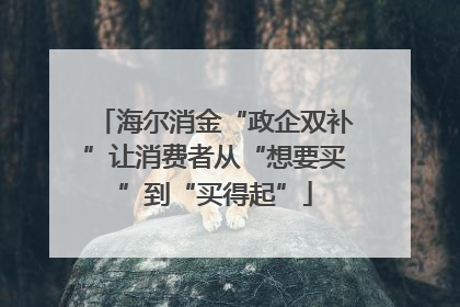 海尔消金“政企双补”让消费者从“想要买”到“买得起”