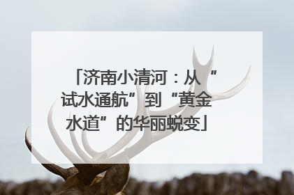 济南小清河：从“试水通航”到“黄金水道”的华丽蜕变
