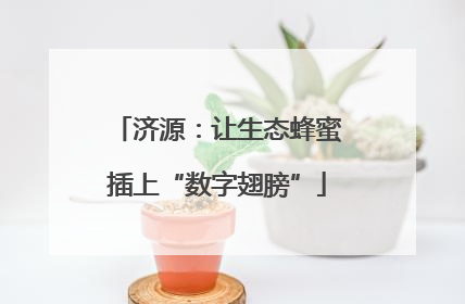 济源：让生态蜂蜜插上“数字翅膀”