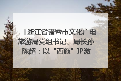 浙江省诸暨市文化广电旅游局党组书记、局长孙陈超：以“西施”IP激活全域旅游 打造县域文旅融合新标杆｜第七届全国县域旅游研究成果发布系列活动