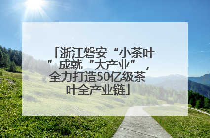 浙江磐安“小茶叶”成就“大产业”，全力打造50亿级茶叶全产业链
