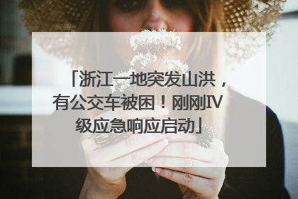 浙江一地突发山洪，有公交车被困！刚刚Ⅳ级应急响应启动