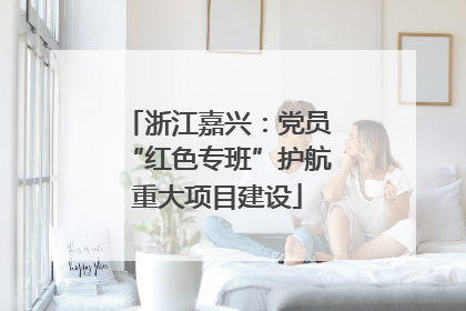 浙江嘉兴：党员“红色专班”护航重大项目建设