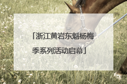 浙江黄岩东魁杨梅季系列活动启幕