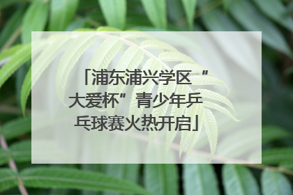 浦东浦兴学区“大爱杯”青少年乒乓球赛火热开启