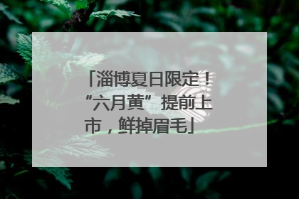 淄博夏日限定！“六月黄”提前上市，鲜掉眉毛