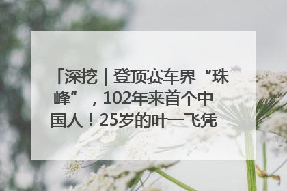 深挖｜登顶赛车界“珠峰”，102年来首个中国人！25岁的叶一飞凭什么创造历史？