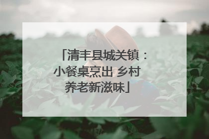清丰县城关镇：小餐桌烹出 乡村养老新滋味