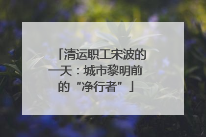 清运职工宋波的一天：城市黎明前的“净行者”