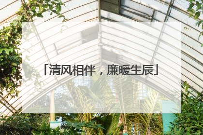 清风相伴，廉暖生辰