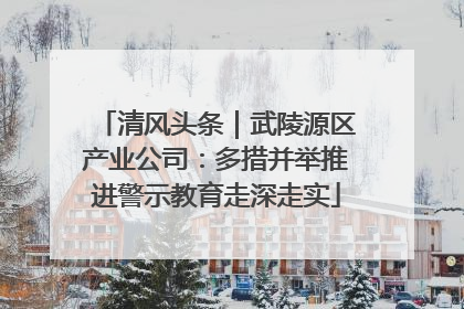 清风头条｜武陵源区产业公司：多措并举推进警示教育走深走实