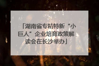 湖南省专精特新“小巨人”企业培育政策解读会在长沙举办