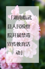 湖南临武县人民检察院开展禁毒宣传教育活动