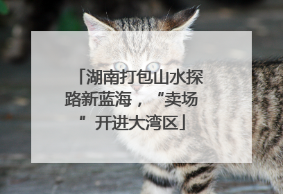 湖南打包山水探路新蓝海，“卖场”开进大湾区
