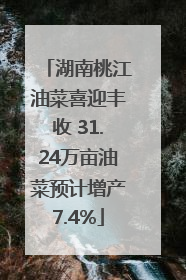 湖南桃江油菜喜迎丰收 31.24万亩油菜预计增产7.4%