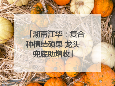 湖南江华：复合种植结硕果 龙头兜底助增收