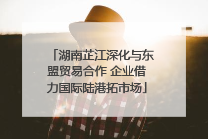 湖南芷江深化与东盟贸易合作 企业借力国际陆港拓市场