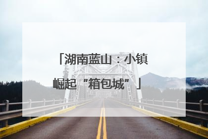 湖南蓝山：小镇崛起“箱包城”