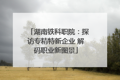 湖南铁科职院：探访专精特新企业 解码职业新图景
