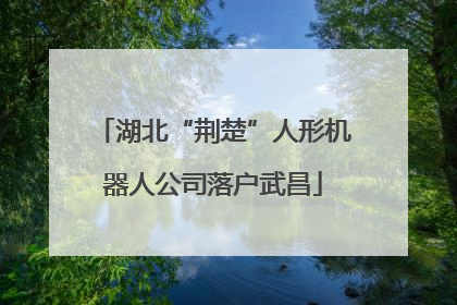 湖北“荆楚”人形机器人公司落户武昌