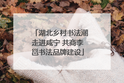 湖北乡村书法潮走进咸宁 共商李邕书法品牌建设
